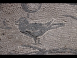 06710 ostia - regio iv - insula v - caseggiato del dioniso (iv,v,9) - raum (d) - fussbodenmosaik - vogel - 01-2024.jpg